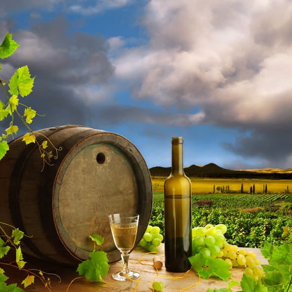 Recorrer el Circuito del Vino – CIRCUITO DEL VINO, RUTAS TURÍSTICAS